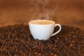 Angola: il caffè angolano vuole tornare nelle tazzine di tutto il mondo. Il presidente Lourenço punta sul rilancio della produzione